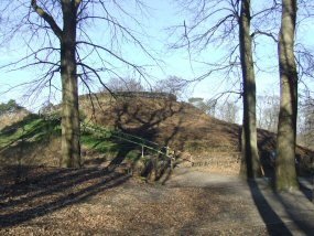 Duivelsberg (ongen.) te Berg en Dal: restanten van twee mottekastelen