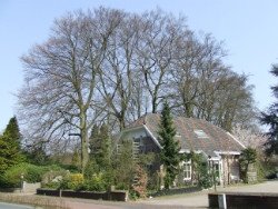 Oude Kleefsebaan 121 te Berg en Dal