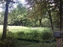 Oude Kleefsebaan ongenummerd te Berg en Dal: terrein Holdeurn, Romeine pannenbakkerij