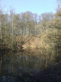 Oude Kleefsebaan (ongen.) te Berg en Dal: terrein Holdeurn, leemkuilen