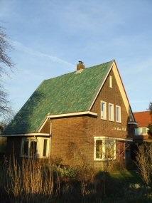Plezenburgsestraat 5 te Leuth: De Wiede Blick